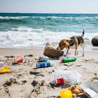 Can Dog Food Bags Be Recycled?