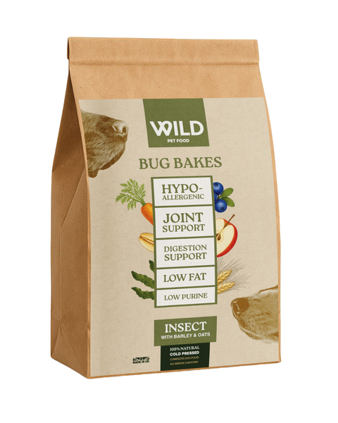 Regular – Bug Bakes